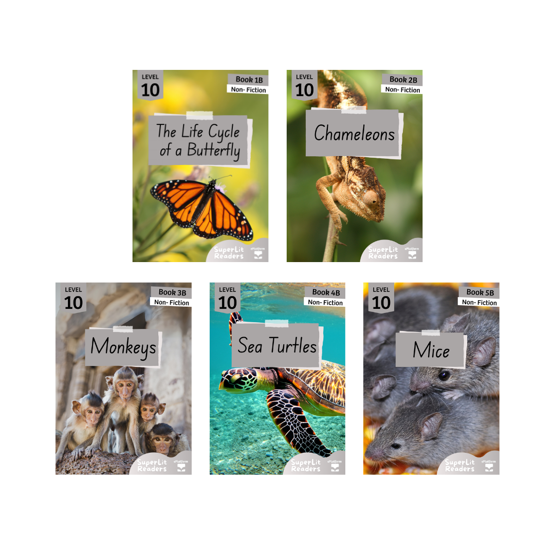 Non-Fiction Level 10B Bundle