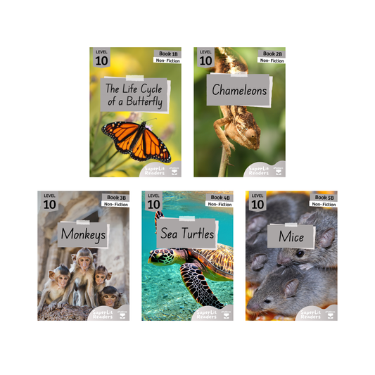 Non-Fiction Level 10B Bundle