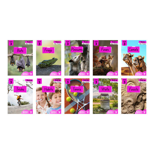 Non-Fiction Level 3 Bundle