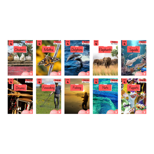 Non-Fiction Level 4 Bundle