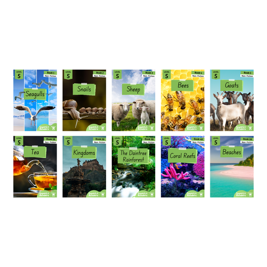 Non-Fiction Level 5 Bundle