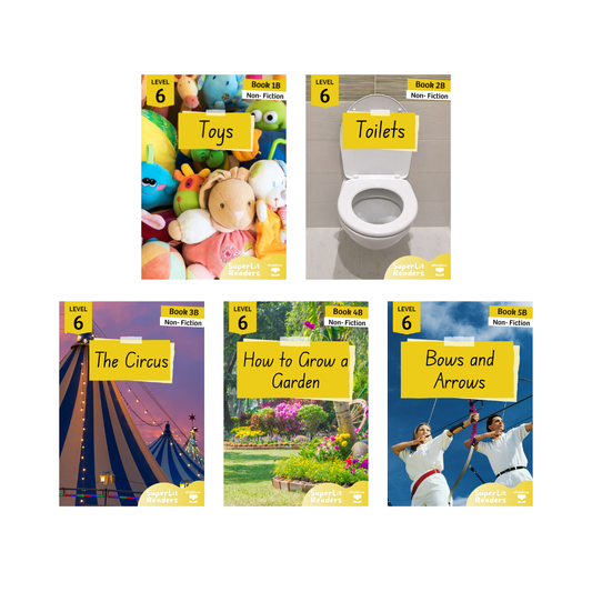 Non-Fiction Level 6B Bundle