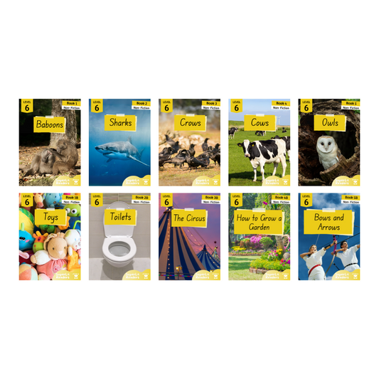 Non-Fiction Level 6 Bundle