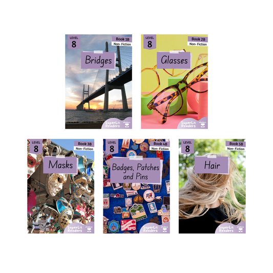 Non-Fiction Level 8B Bundle