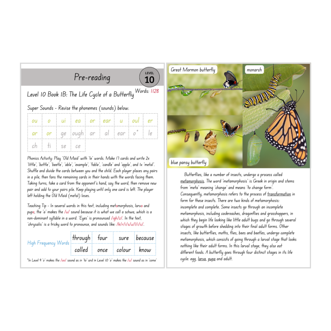 Non-Fiction Level 10B Bundle