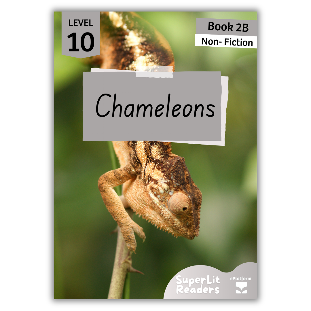 Chameleons (Level 10 Book 2B - Non-Fiction Series B)