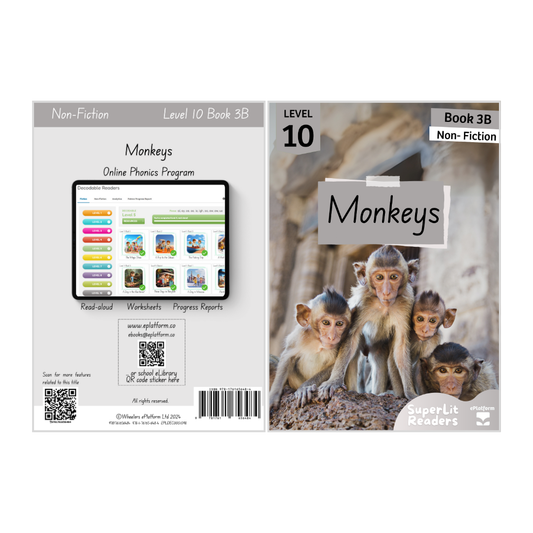Monkeys (Level 10 Book 3B - Non-Fiction Series B)