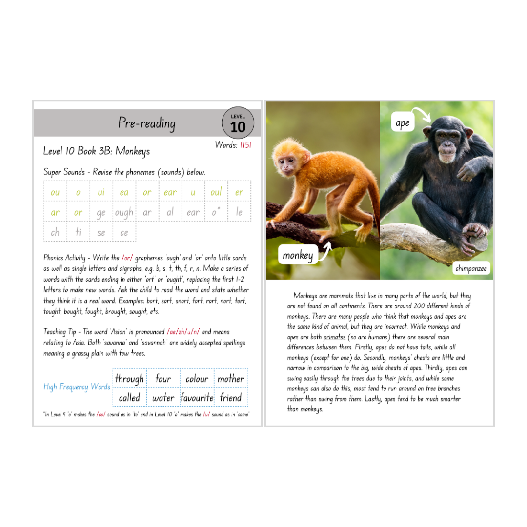 Monkeys (Level 10 Book 3B - Non-Fiction Series B)
