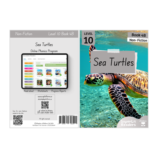 Sea Turtles (Level 10 Book 4B - Non-Fiction Series B)