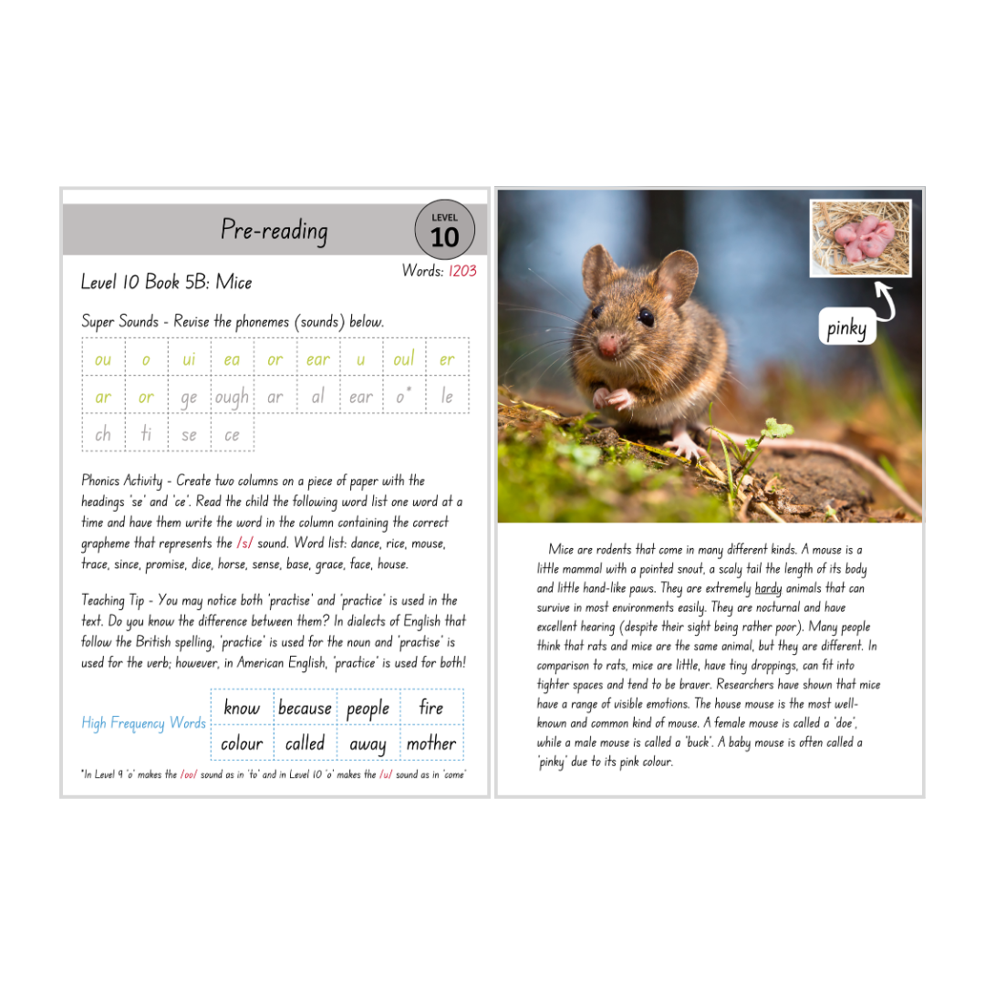 Mice (Level 10 Book 5B - Non-Fiction Series B)