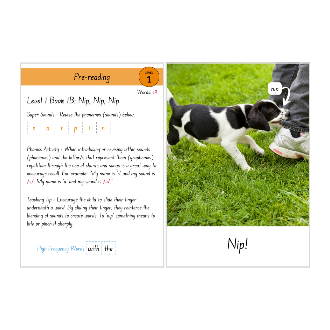 Non-Fiction Level 1B Bundle