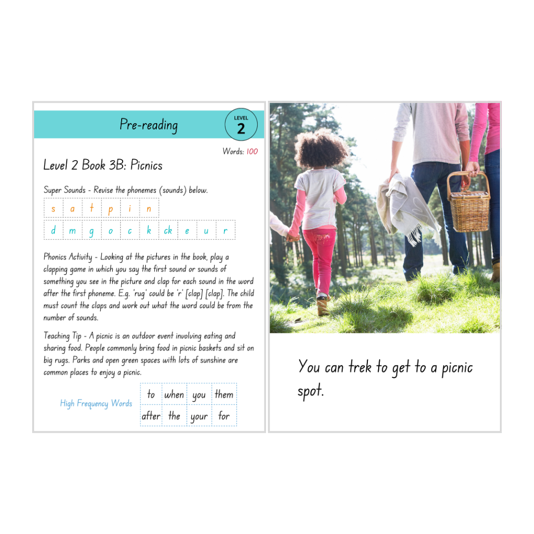 Picnics (Level 2 Book 3B - Non-Fiction Series B)