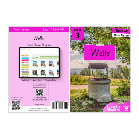 Wells (Level 3 Book 4B - Non-Fiction Series B)