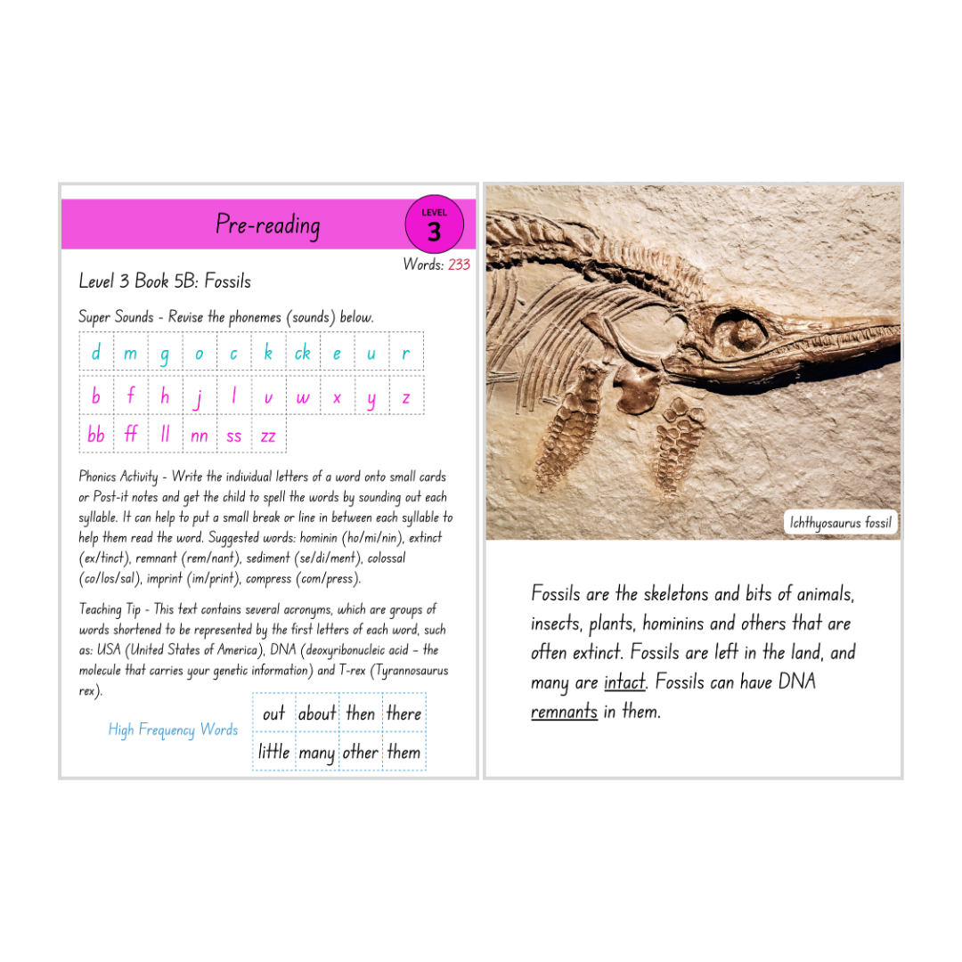 Fossils (Level 3 Book 5B - Non-Fiction Series B)