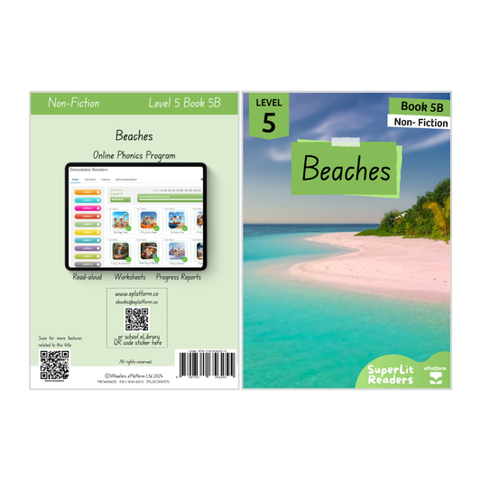 Beaches (Level 5 Book 5B - Non-Fiction Series B)