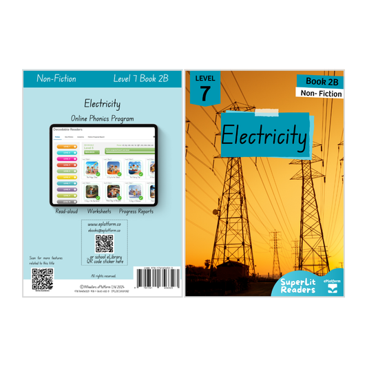 Electricity (Level 7 Book 2B - Non-Fiction Series B)