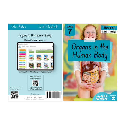 Organs in the Human Body (Level 7 Book 4B - Non-Fiction Series B)