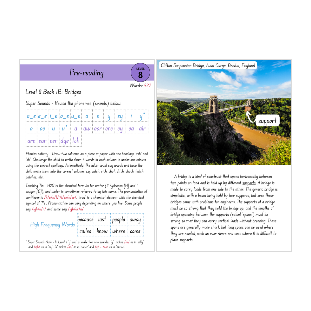 Non-Fiction Level 8B Bundle
