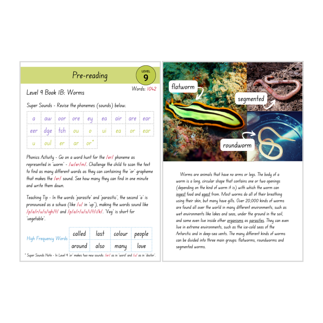 Non-Fiction Level 9B Bundle