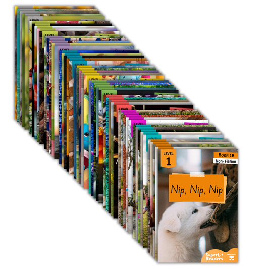 Non-Fiction Series B Bundle