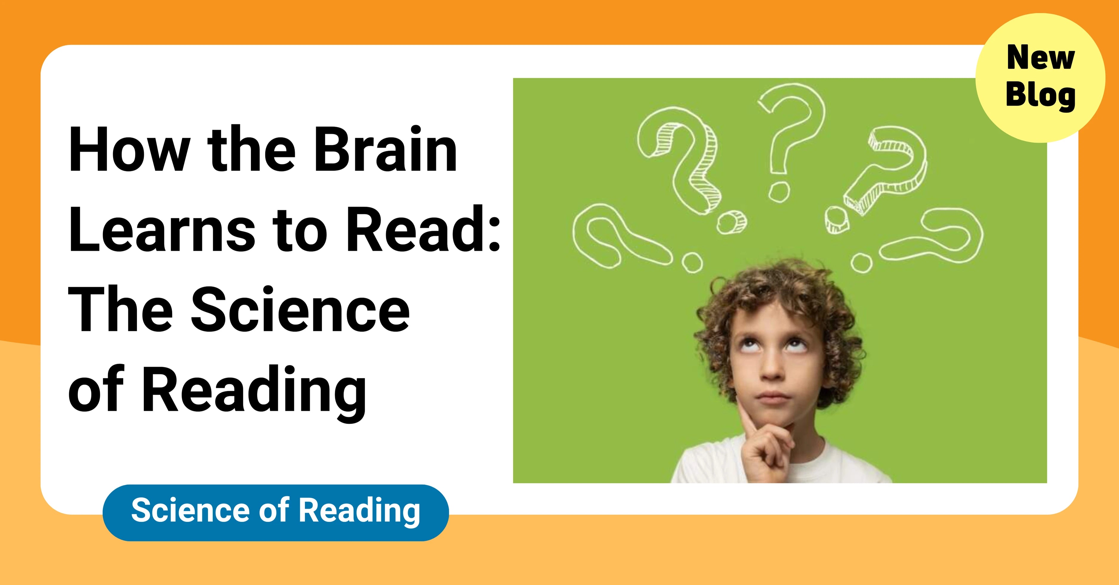 Science. Read How the Brain Learns to Read: The Science of Reading | SuperLit Readers ...