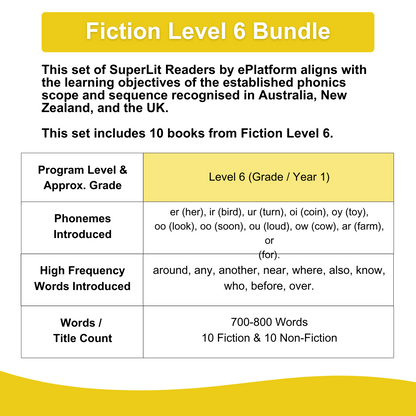 Fiction Level 6 Bundle