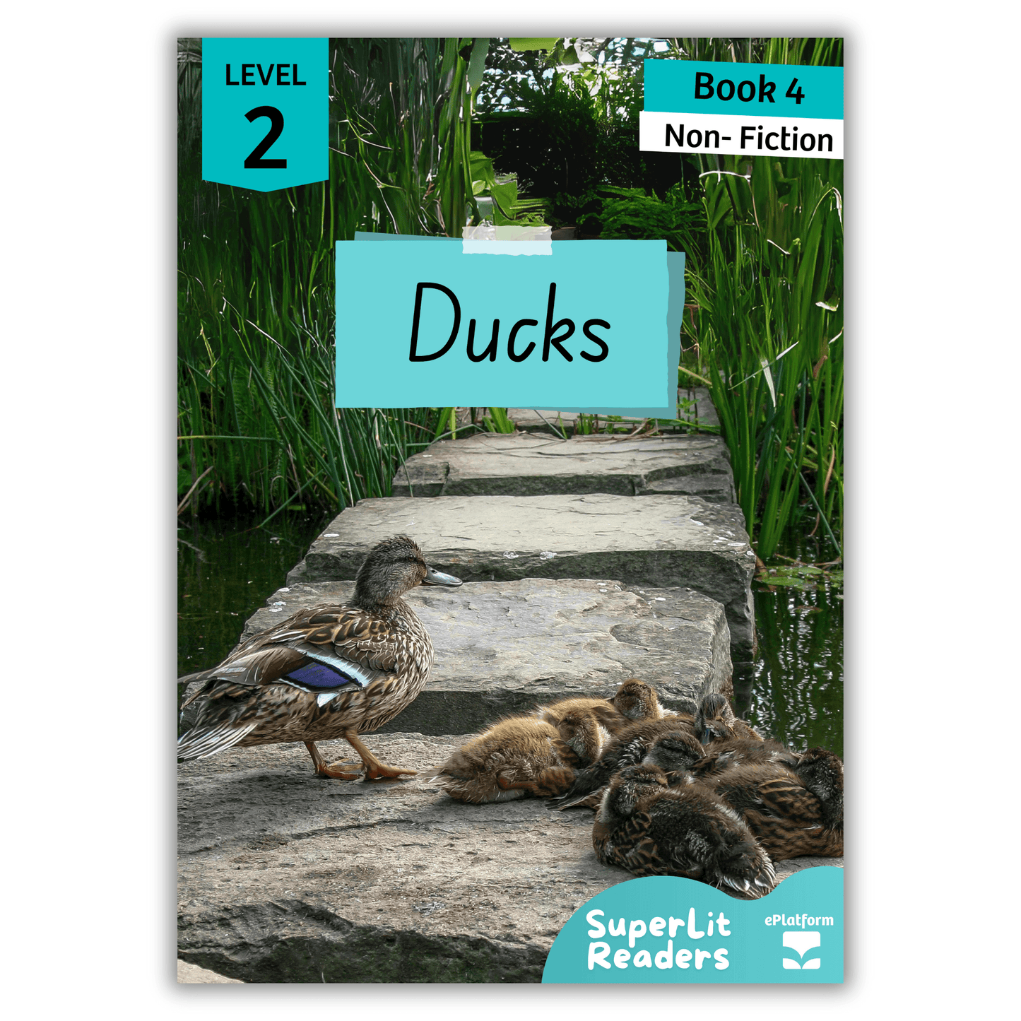 Ducks (Level 2 Book 4 - Non-Fiction Series) - SuperLit Readers by EPlatform Limited