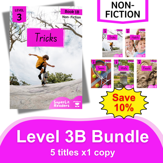 Non-Fiction Level 3B Bundle