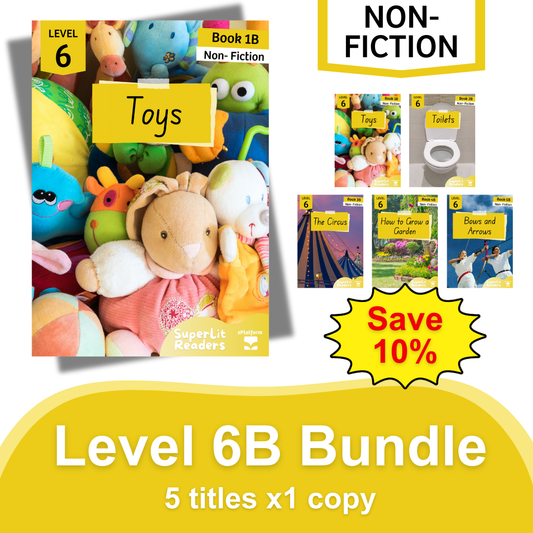 Non-Fiction Level 6B Bundle