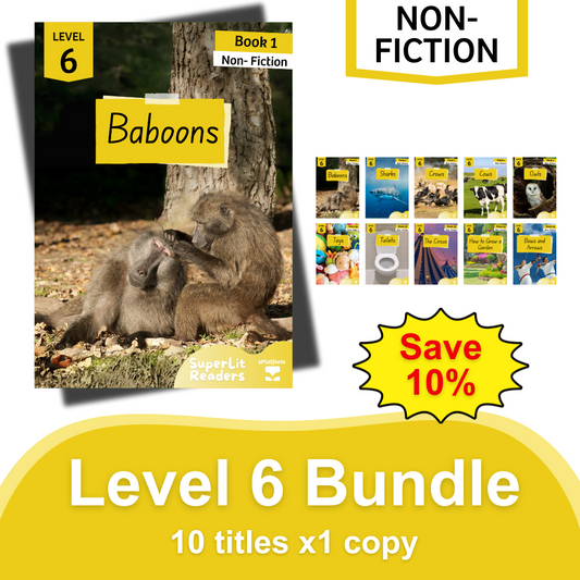 Non-Fiction Level 6 Bundle