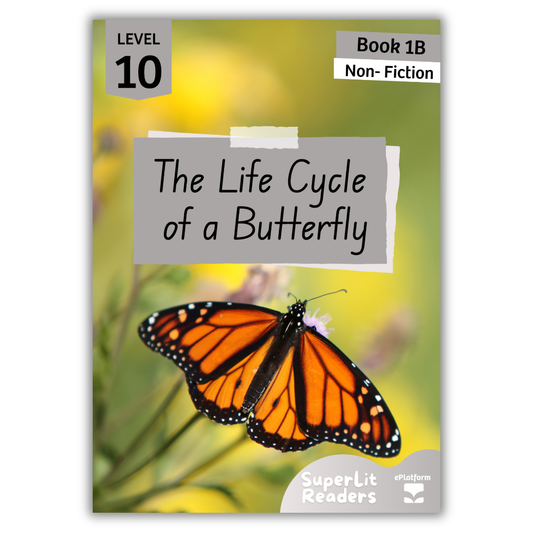 The Life Cycle of a Butterfly (Level 10 Book 1B - Non-Fiction Series B)