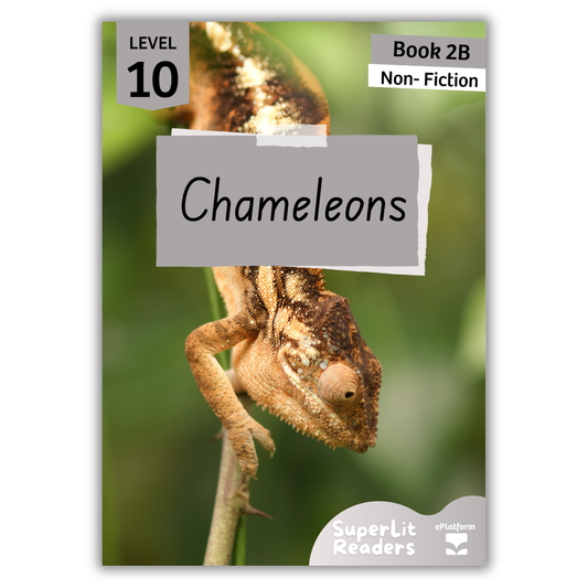 Chameleons (Level 10 Book 2B - Non-Fiction Series B)