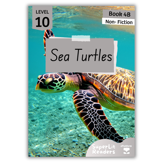Sea Turtles (Level 10 Book 4B - Non-Fiction Series B)