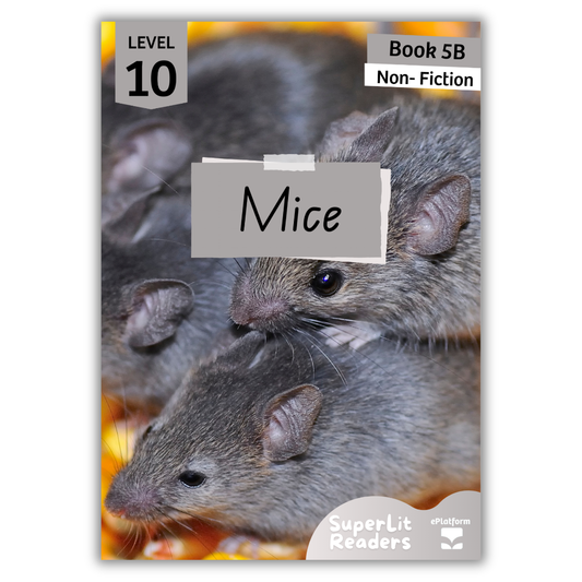 Mice (Level 10 Book 5B - Non-Fiction Series B)