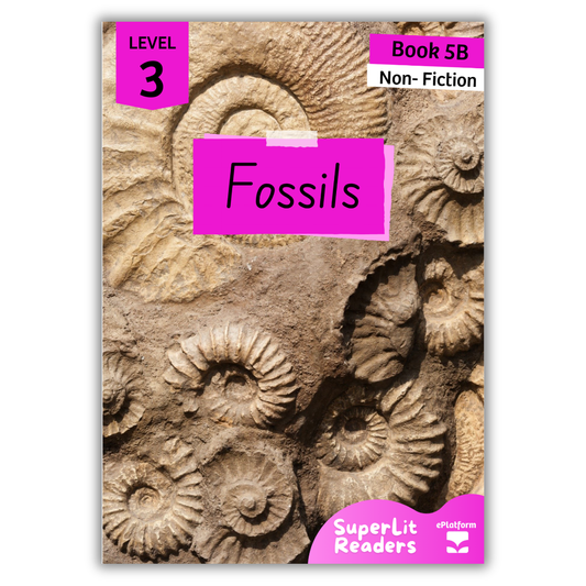 Fossils (Level 3 Book 5B - Non-Fiction Series B)