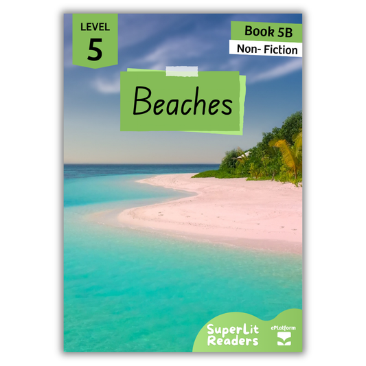 Beaches (Level 5 Book 5B - Non-Fiction Series B)