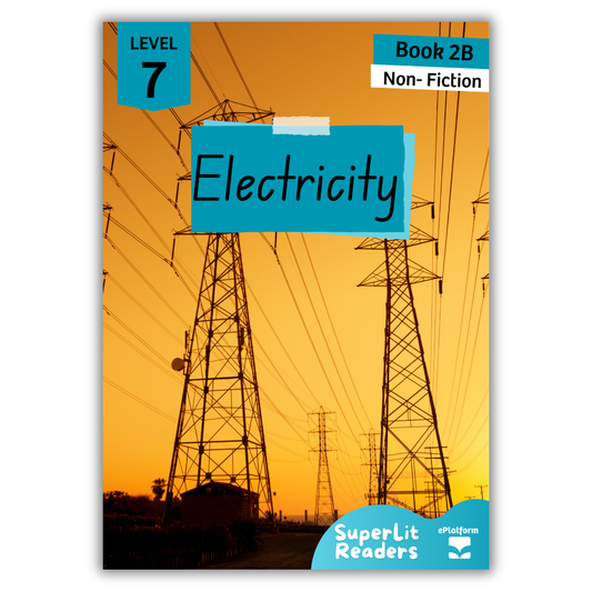 Electricity (Level 7 Book 2B - Non-Fiction Series B)