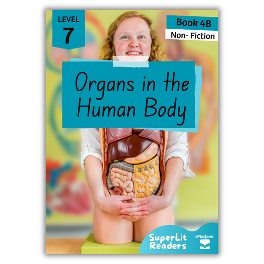 Organs in the Human Body (Level 7 Book 4B - Non-Fiction Series B)