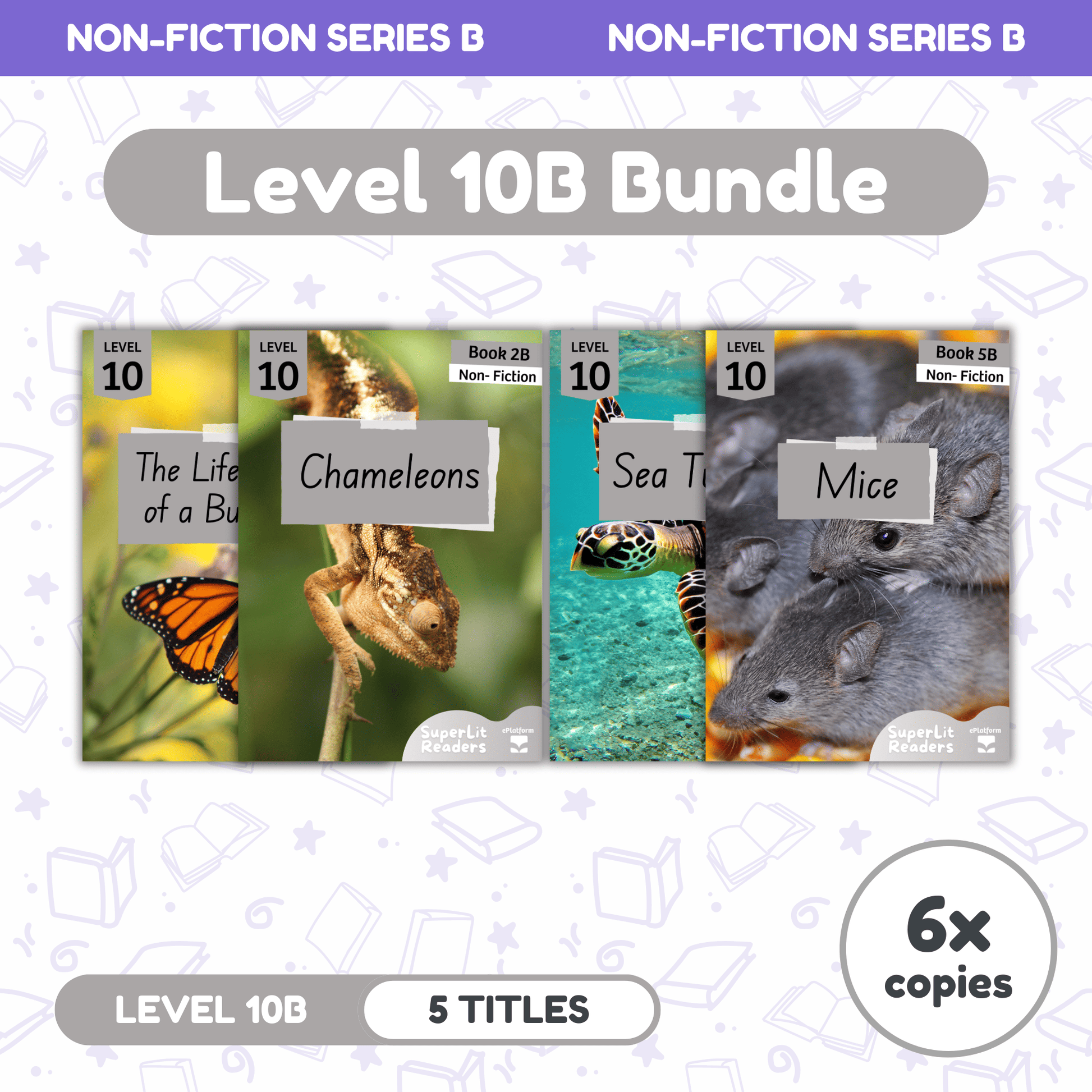 SuperLit Phonics Decodable Readers Non Fiction Level 10B Six Sets