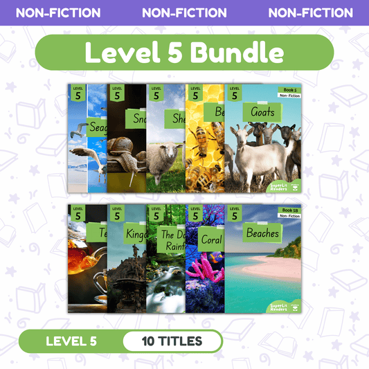 SuperLit Phonics Decodable Readers Non Fiction Level 5 Single Set
