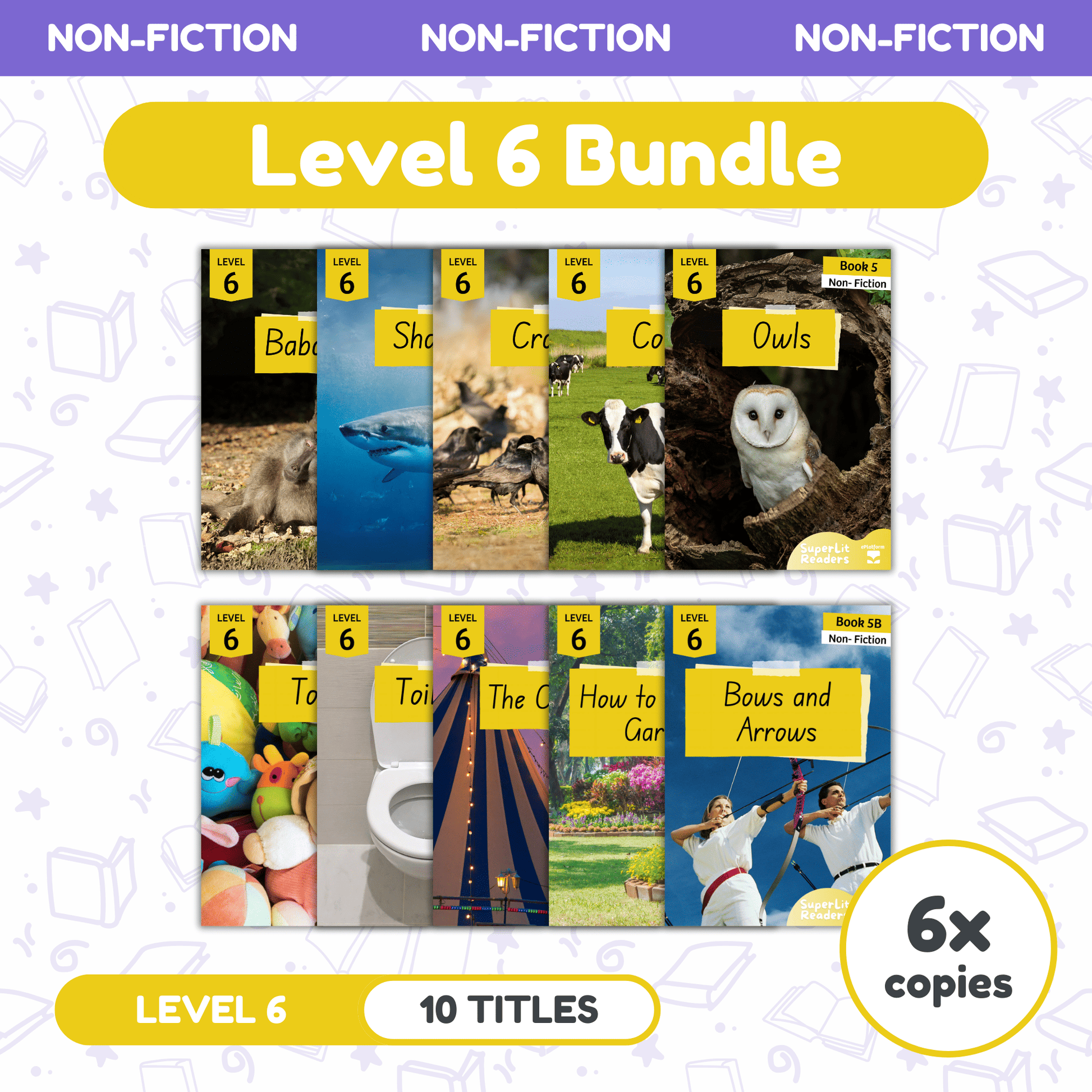 SuperLit Phonics Decodable Readers Non Fiction Level 6 Six Sets