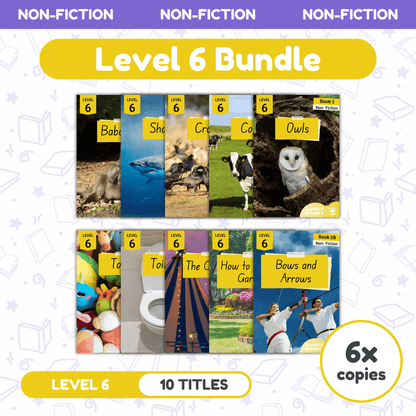 SuperLit Phonics Decodable Readers Non Fiction Level 6 Six Sets